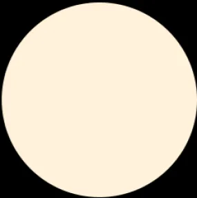 LUXURY GODDESS Cashmere Matte Foundation - N2 Cool Neutral