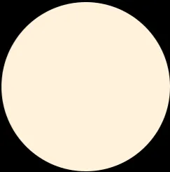 LUXURY GODDESS Cashmere Matte Foundation - N2 Cool Neutral