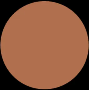 LUXURY GODDESS Cashmere Matte Foundation - N95 Cool Neutral
